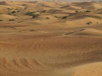 Dubai Wüstensafari 
