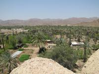 Ostküste der Emirate - Pakistanis beim kochen