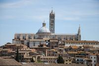 Dom von Siena