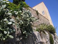 An der Stadtmauer von Calvi