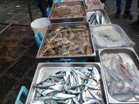 Sizilien 2014/04  Fischmarkt von Catania 