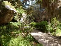 Sizilien 2014/04 im archeologischen Park von Syrakus