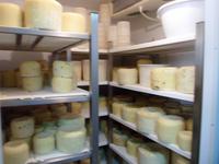 die Käserei von S. Angelo Muxaro