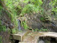 Levadas auf Madeira
