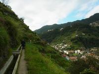 Fakultative Levadawanderung