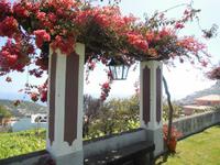 Privates Weingut auf Madeira