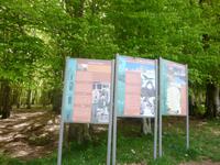 Stop mitten im Herzen Korsikas 