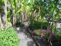 Bananenallee in Roque Gageac