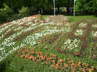 Keukenhof