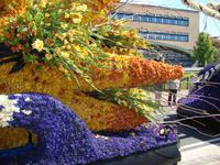 Blumencorso