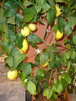 Impressionen von Portovenere