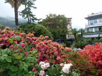 Unser Eberhardtbus hinter Palmen versteckt; gleich am Hotel.