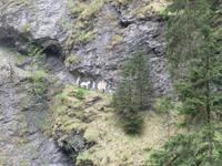 Der alte Saumpfad der Römer wird anschaulich dargestellt.