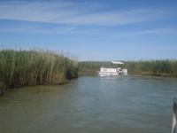 Bootsausflug Po-Delta