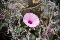 Wanderung auf Lipari
