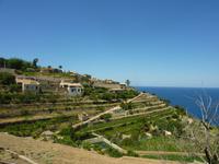 Terrassenanlage in Banyalbufar