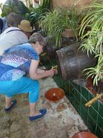 Weinprobe in La Granja 