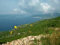 Blick auf Orebic