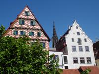 Blick von der Donau aufs Ulmer Münster