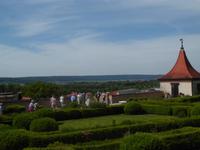 Im Hängegarten Neufra