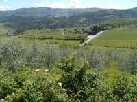 Chianti-Weinstrasse