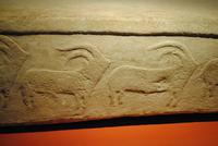 im archäologischen Museum in Valetta