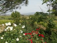 Weingut 