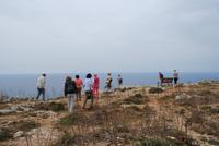 Aussicht von den Dingli-Klippen