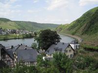 Moselblick flussabwärts