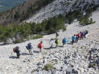 Ostseite des Mont Ventoux