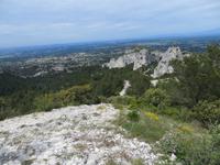 in den Alpilles