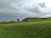 Tintagel