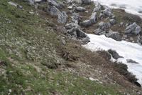 Gardasee 066