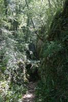 in diese Schlucht sind wir nicht gegangen