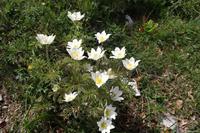 ..wie hieß die noch ?