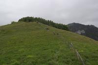 Gardasee 220