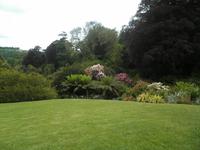 Trebah Gardens