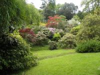Trebah Gardens