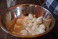 Frischer Büffelmozzarella