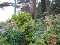 Figuren im Garten