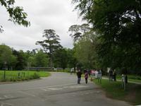Muckross Gardens