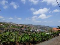 Bananenplantage // Weingut