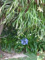 Bei einer Quinta // Weingut