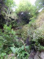 entlang der Levada bei Maroços
