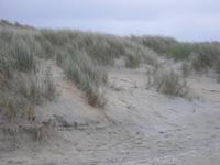 Dünen am Atlantik auf Harris - Schottland