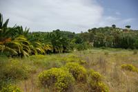 Piazza_Armerina_Villa_Casale (1)