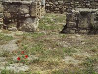 Ruinen der Stadt Kamiros