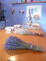 Rhône & Saône 2014 (166)