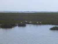 Rhône & Saône 2014 (192)