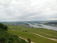 Blick vom Niederwalddenkmal